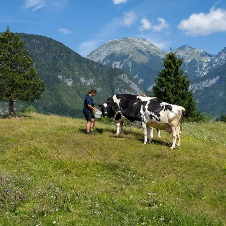 Voje Highland Cradle Casa de Férias Ribčev Laz