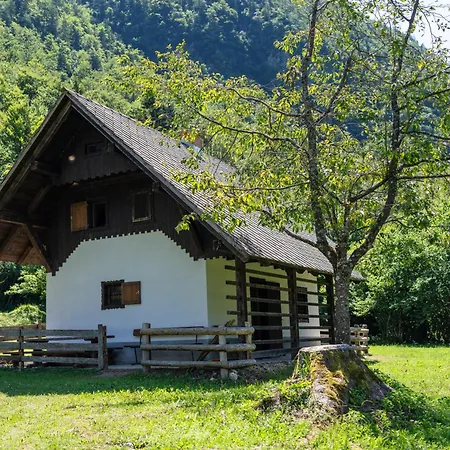 Casa de Férias Voje Highland Cradle