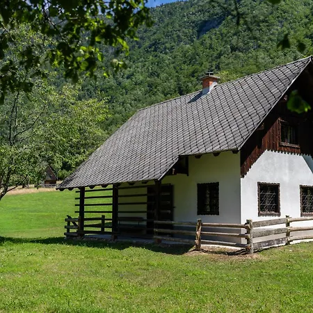 Voje Highland Cradle *