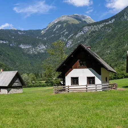 Voje Highland Cradle *